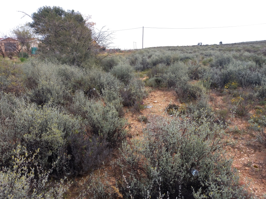 0 Bedroom Property for Sale in Uniondale Western Cape